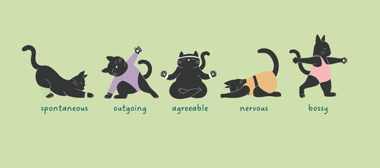 Unveiling the 5 Cat Personalities: Which One Rules Your Home?